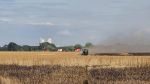 B3_Fläche/Wald