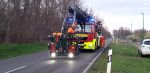 Lose Baumkrone
