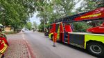 Ast abgebrochen hängt in Stromleitung