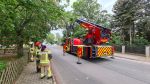 Ast abgebrochen hängt in Stromleitung