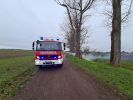 Brand eines Baumstumpfes
