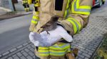 unbek. Tier in Kamin gestürzt eingeklemmt.
