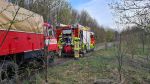 Brand Schilf