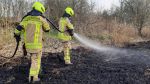 Brand Schilf