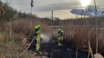 Brand Schilf
