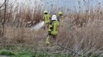 Brand Schilf