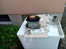 Elektrogerät brennt im Gebäude