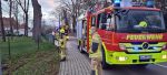 Ast/Baum auf Straße