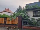Ast/Baum auf Straße