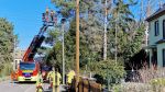 Baum droht auf Haus zu fallen