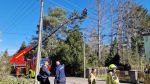Baum droht auf Haus zu fallen