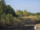 Brand Wiese/Ödland > 100 qm