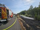 Brand Wiese/Ödland > 100 qm