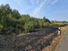 Brand Wiese/Ödland > 100 qm