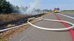 Brand Wiese/Ödland > 100 qm