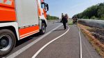 Brand Wiese/Ödland > 100 qm